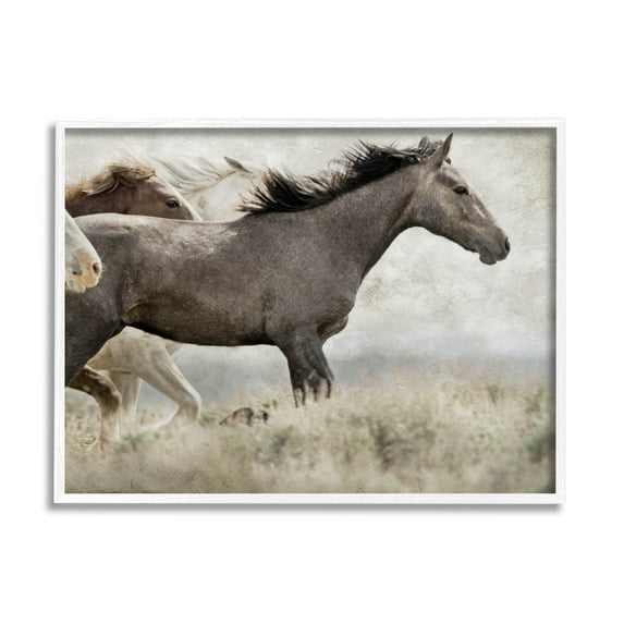 Stupell Industries Galloping Horse Herd Photography Animals & Insects Photography White Framed Art Print Wall Art