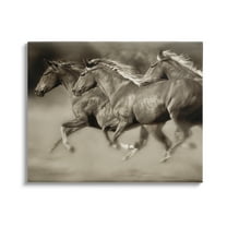 Stupell Industries Galloping Horse Herd Trotting Wild Animal Photography Photograph Gallery Wrapped Canvas Print Wall Art, Design by Lisa Dearing