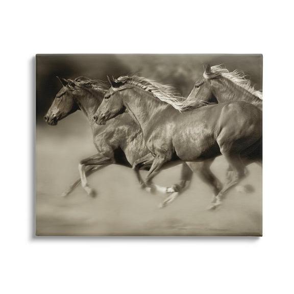 Stupell Industries Galloping Horse Herd Trotting Wild Animal Photography Photograph Gallery Wrapped Canvas Print Wall Art, Design by Lisa Dearing