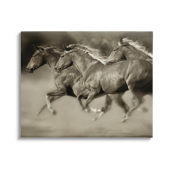 Stupell Industries Galloping Horse Herd Trotting Wild Animal Photography Photograph Gallery Wrapped Canvas Print Wall Art, Design by Lisa Dearing