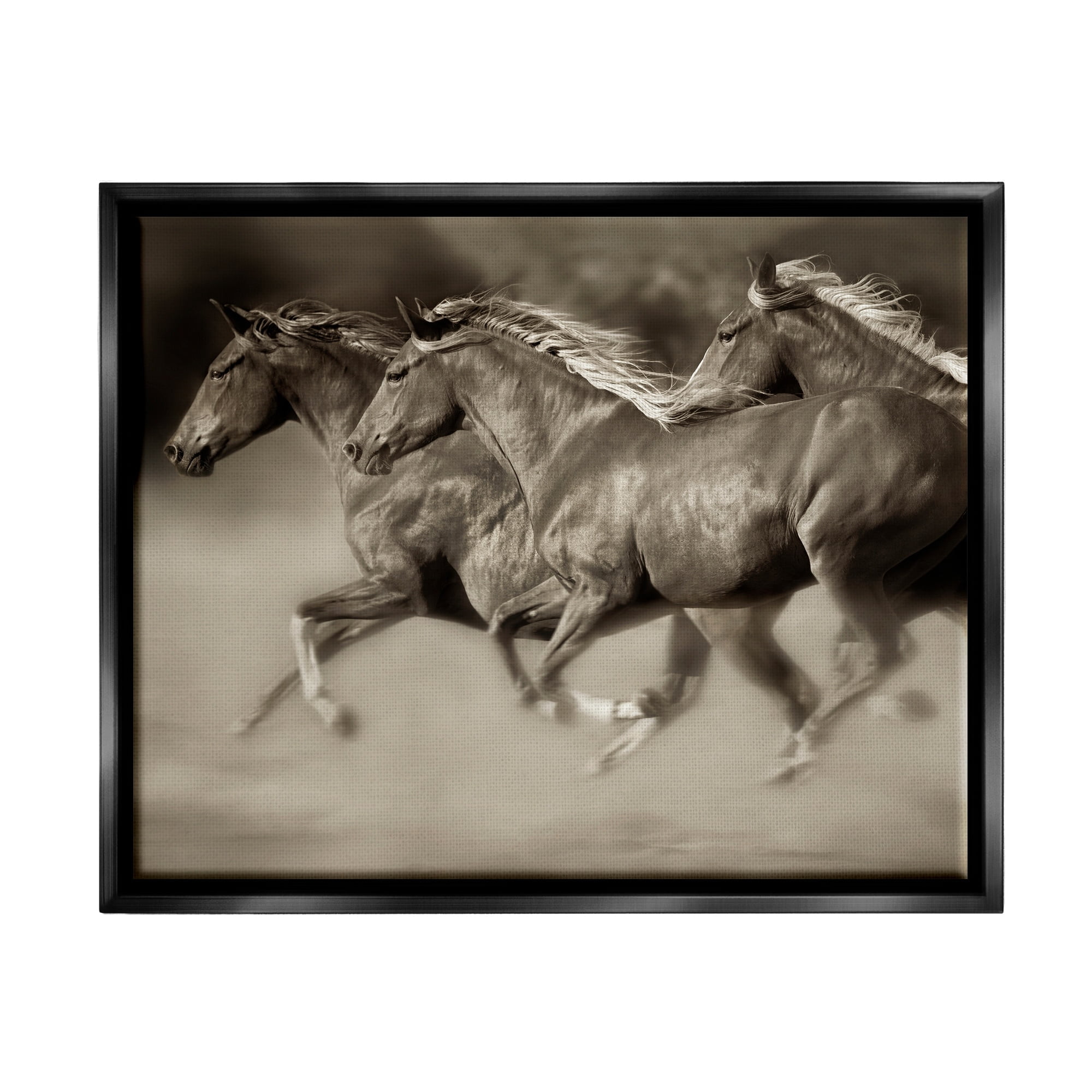 Stupell Industries Galloping Horse Herd Trotting Wild Animal Photography Photograph Jet Black Floating Framed Canvas Print Wall Art, Design by Lisa Dearing