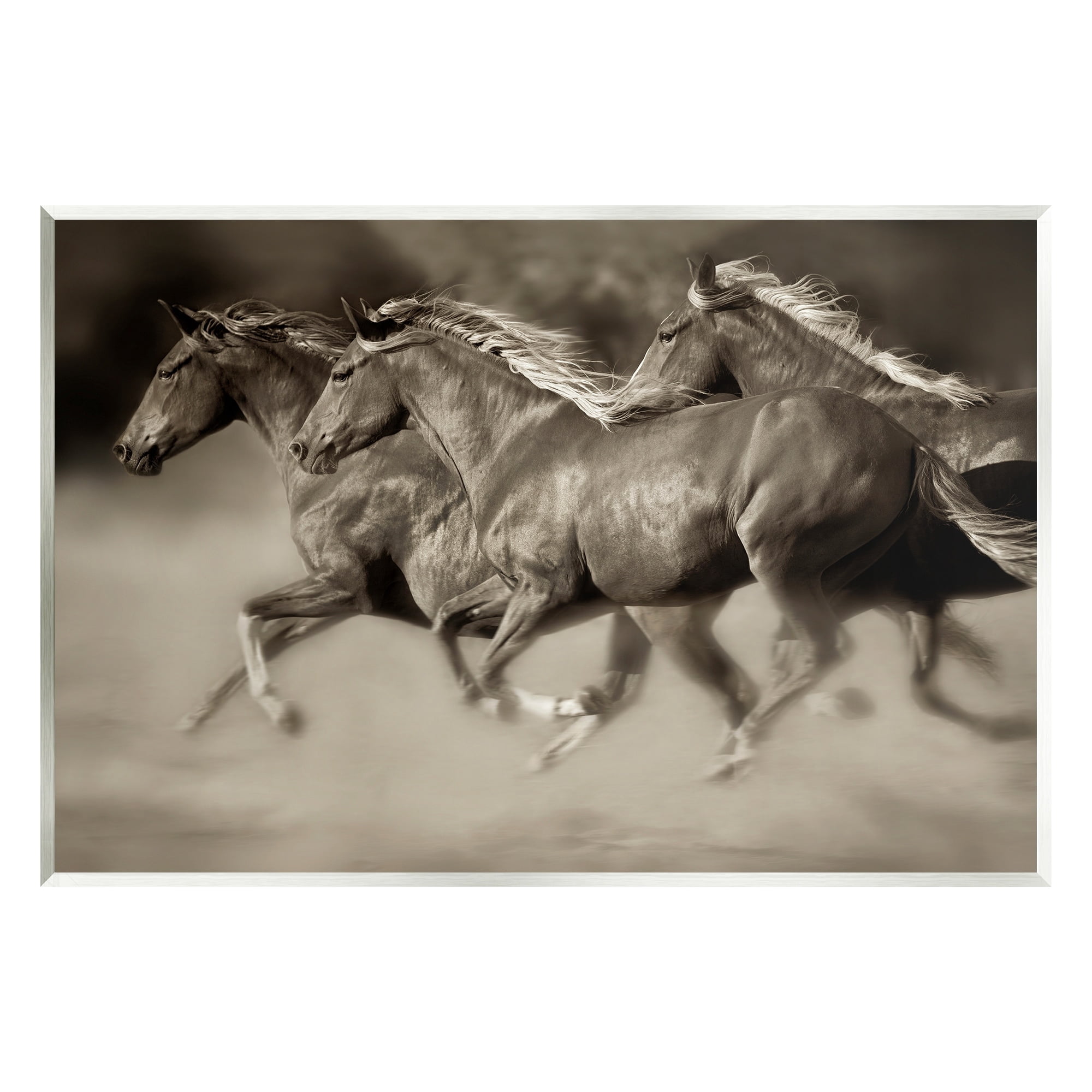 Stupell Industries Galloping Horse Herd Trotting Wild Animal Photography Photograph Unframed Art Print Wall Art, Design by Lisa Dearing