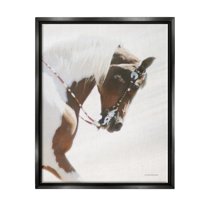 Stupell Industries Galloping Horse with Halter Animals & Insects Photography Black Floater Framed Art Print Wall Art, 17 x 21