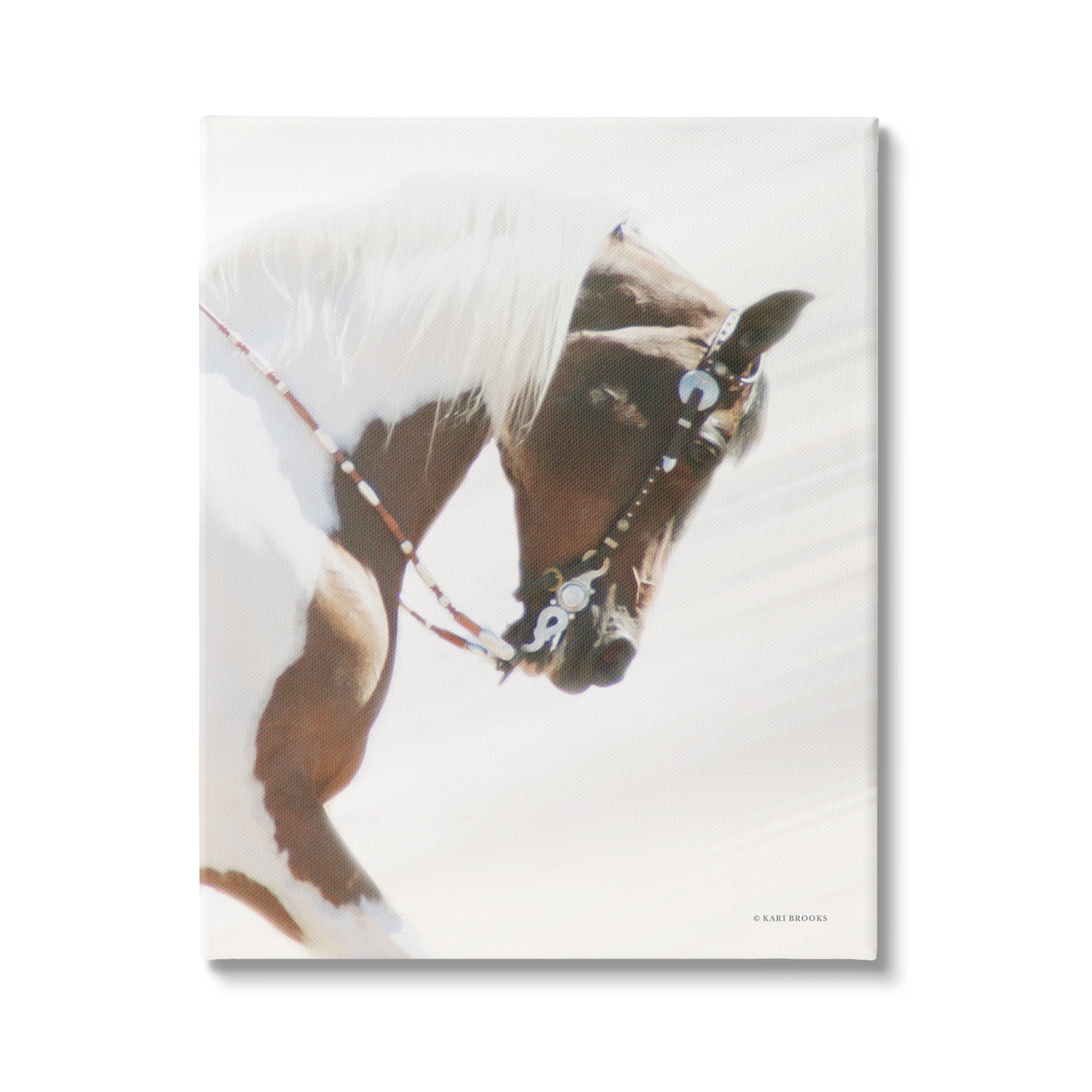 Stupell Industries Galloping Horse with Halter Animals & Insects Photography Gallery Wrapped Canvas Print Wall Art, 36 x 48