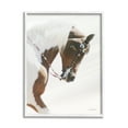 thumbnail image 1 of Stupell Industries Galloping Horse with Halter Animals & Insects Photography White Framed Art Print Wall Art, 16 x 20, 1 of 9