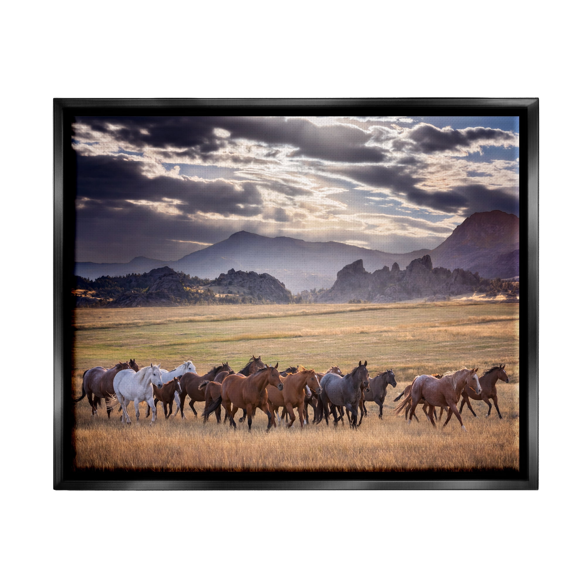 Stupell Industries Galloping Horses Cloudy Mountains Landscape Photography Black Floater Framed Canvas Art Print Wall Art, 31 x 25