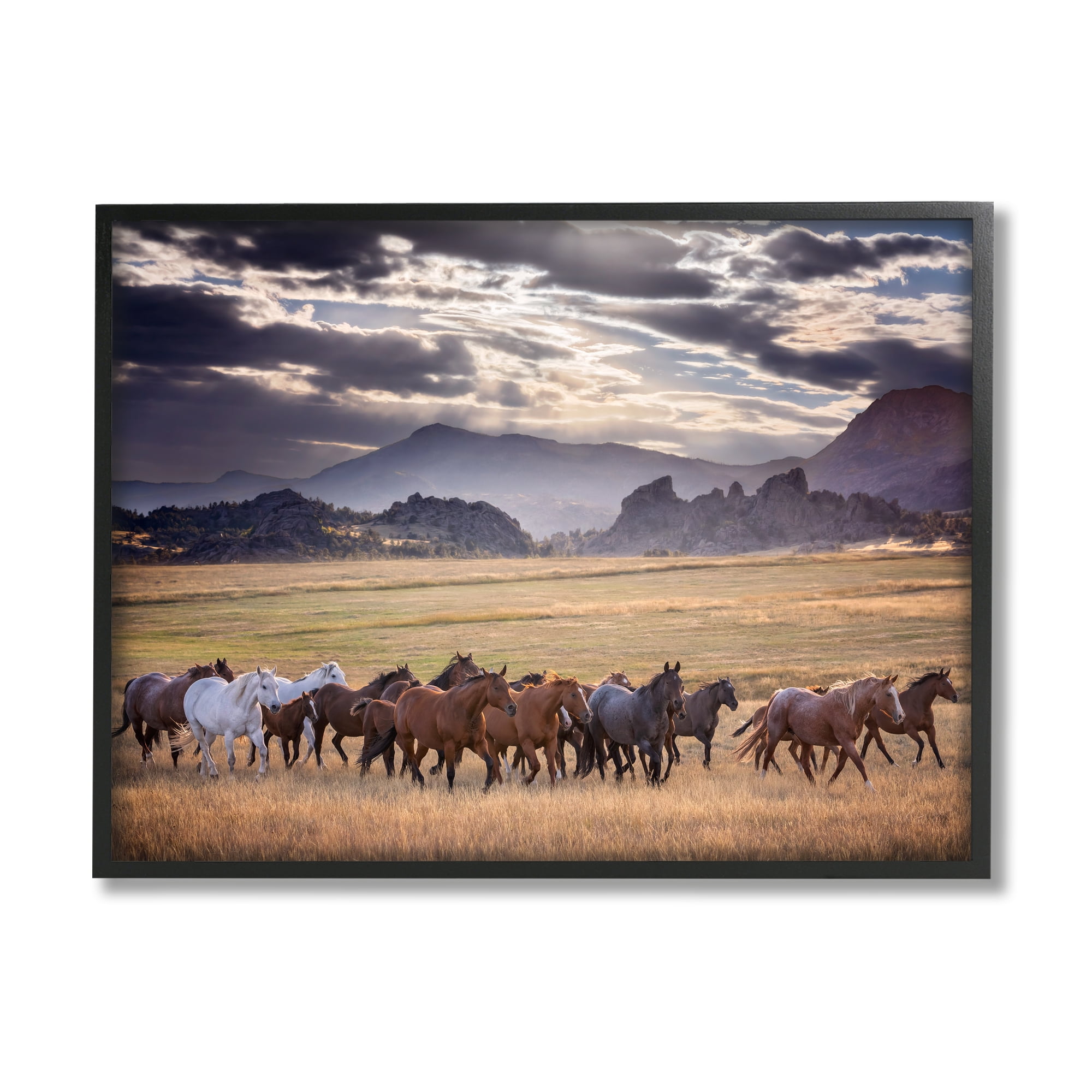Stupell Industries Galloping Horses Cloudy Mountains Landscape Photography Black Framed Art Print Wall Art, 14 x 11