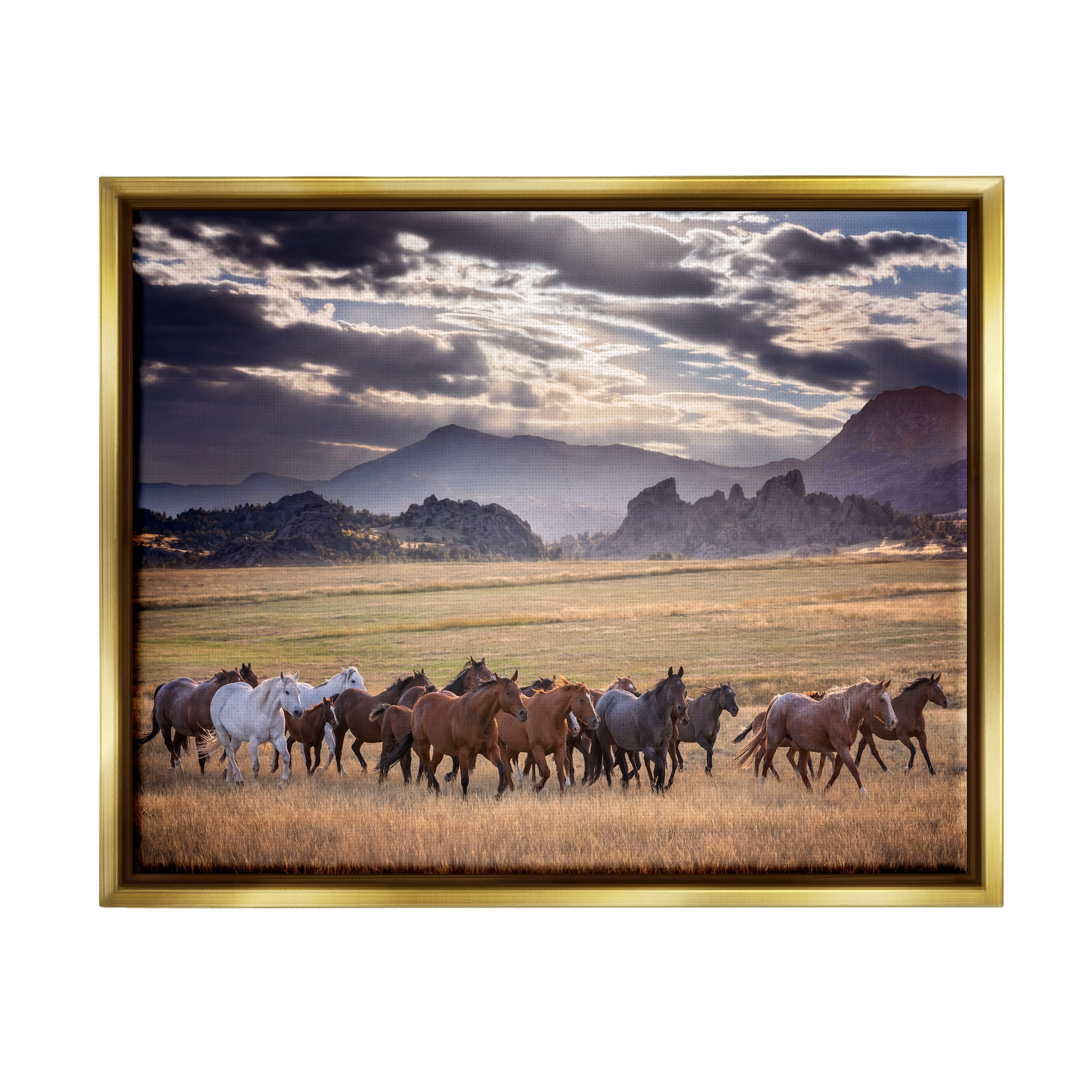Stupell Industries Galloping Horses Cloudy Mountains Landscape Photography Gold Floater Framed Canvas Art Print Wall Art, 31 x 25