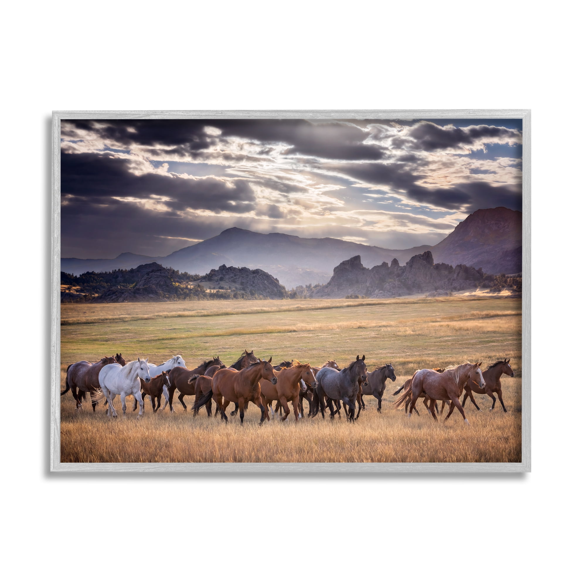 Stupell Industries Galloping Horses Cloudy Mountains Landscape Photography Gray Framed Art Print Wall Art, 30 x 24