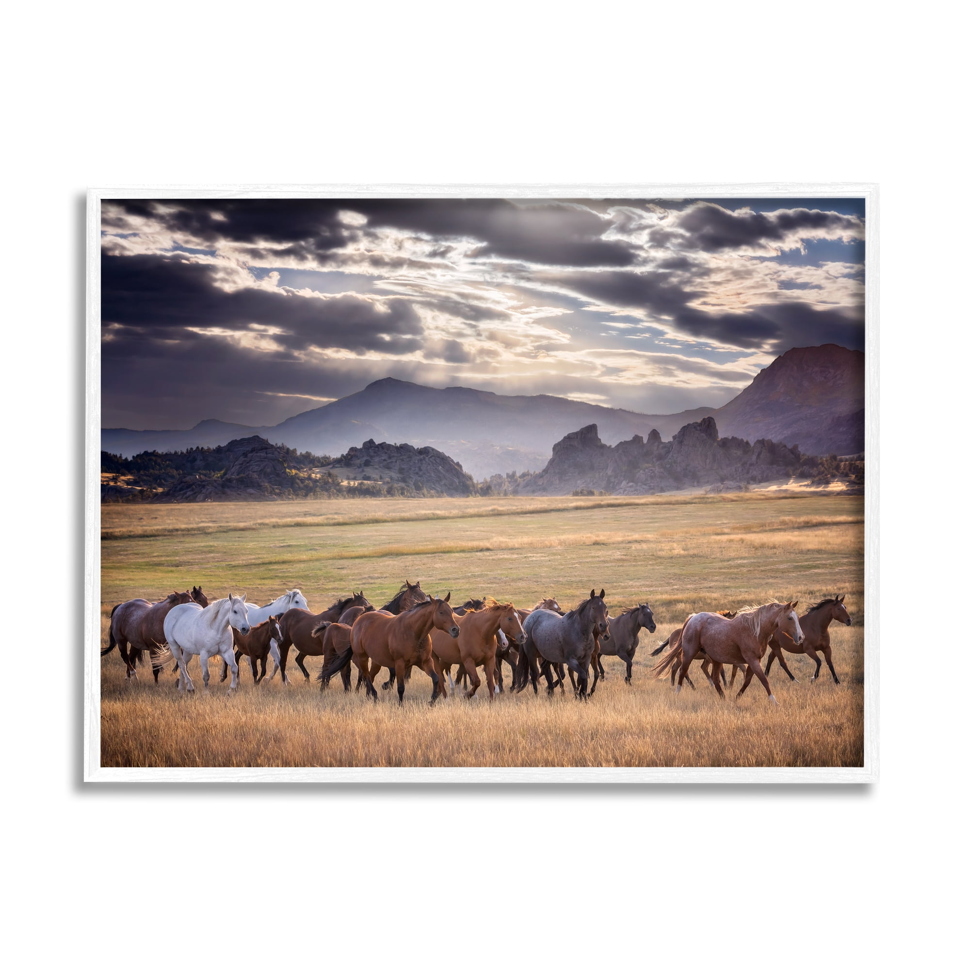 Stupell Industries Galloping Horses Cloudy Mountains Landscape Photography White Framed Art Print Wall Art, 30 x 24