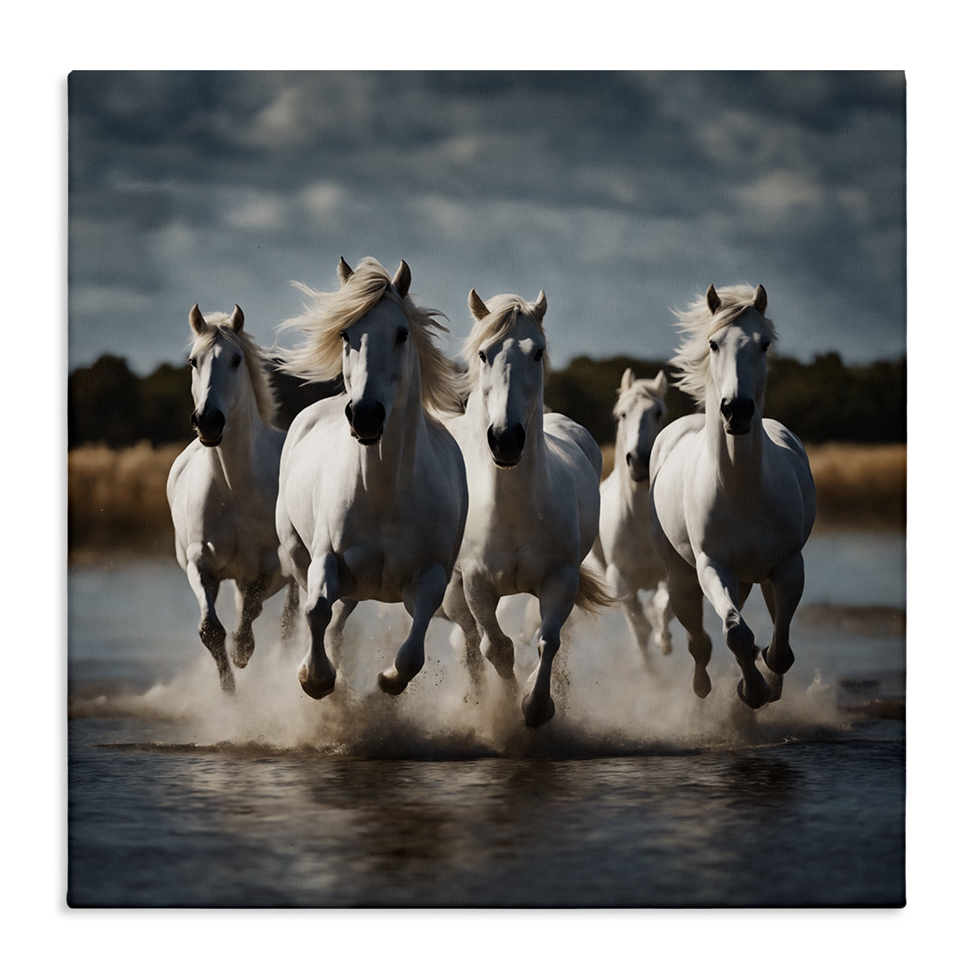 Stupell Industries Galloping Stallions Splash Animals Painting Wrapped Canvas Art Print Wall Art, 36 x 36