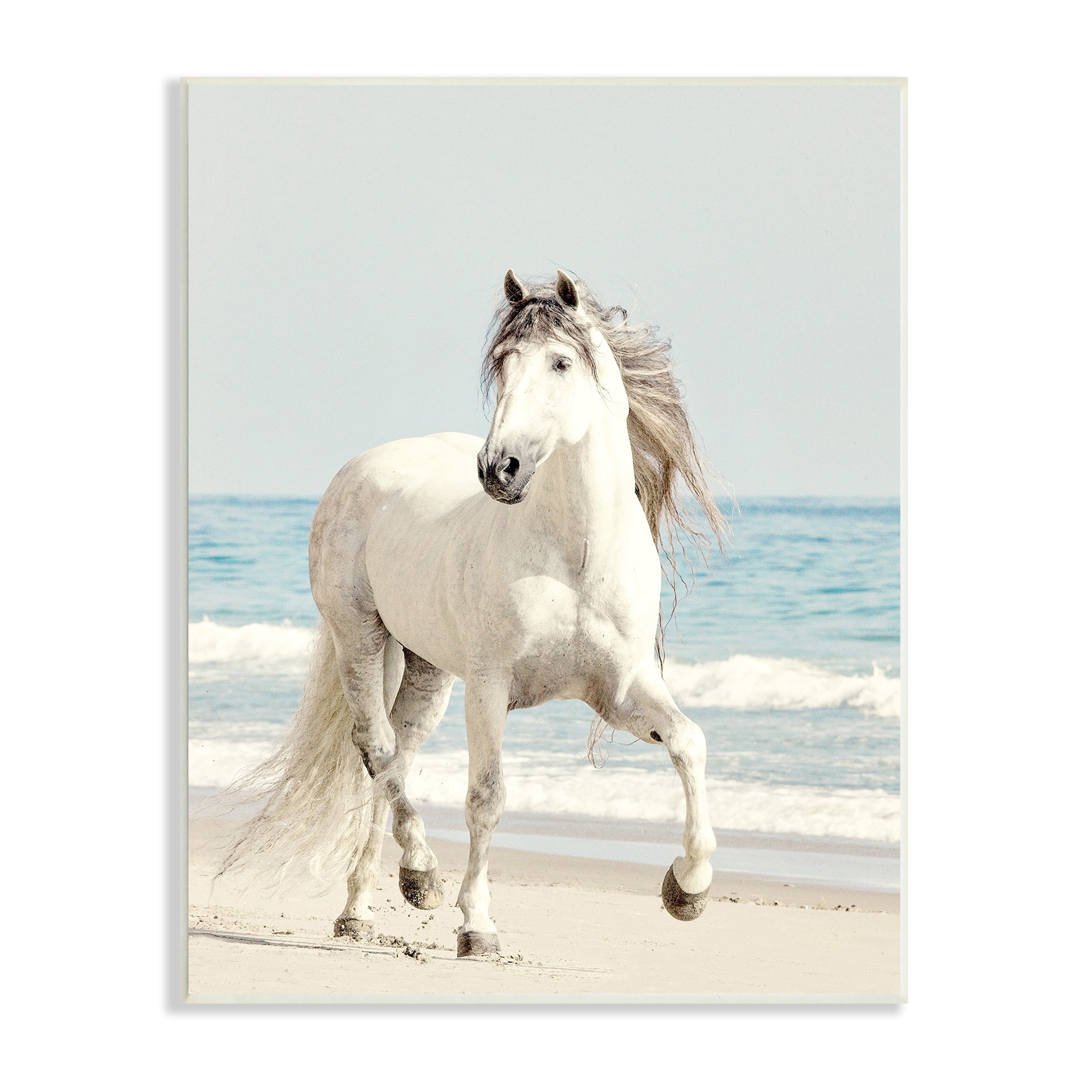 Stupell Industries Galloping White Stallion Wild Horse Sun Bleached Coast, 10 x 15, Design by Jan Walters