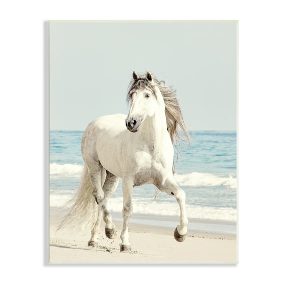 Stupell Industries Galloping White Stallion Wild Horse Sun Bleached Coast, 10 x 15, Design by Jan Walters