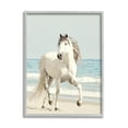thumbnail image 1 of Stupell Industries Galloping White Stallion Wild Horse Sun Bleached Coast, 11 x 14, Design by Jan Walters, 1 of 7