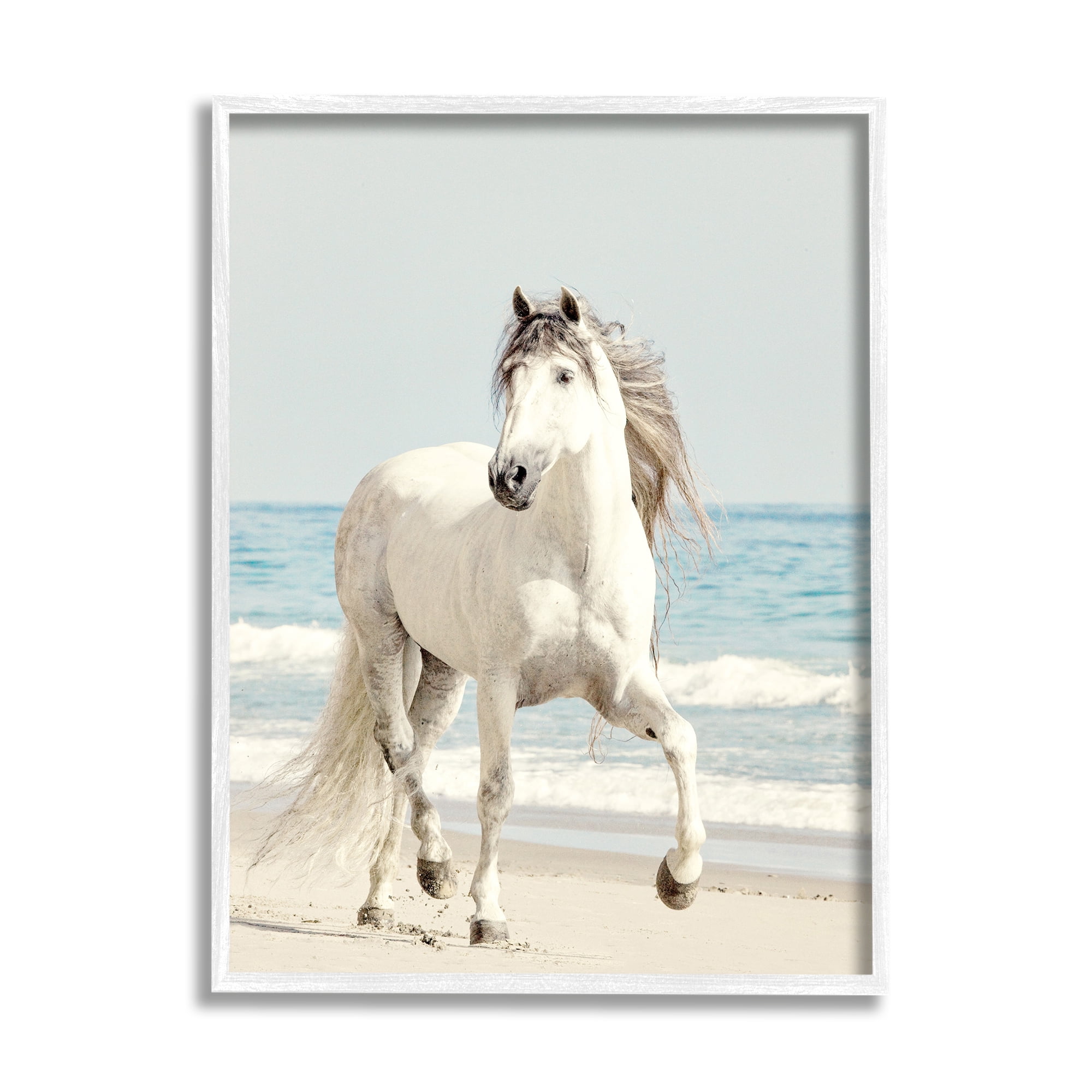 Stupell Industries Galloping White Stallion Wild Horse Sun Bleached Coast, 11 x 14, Design by Jan Walters