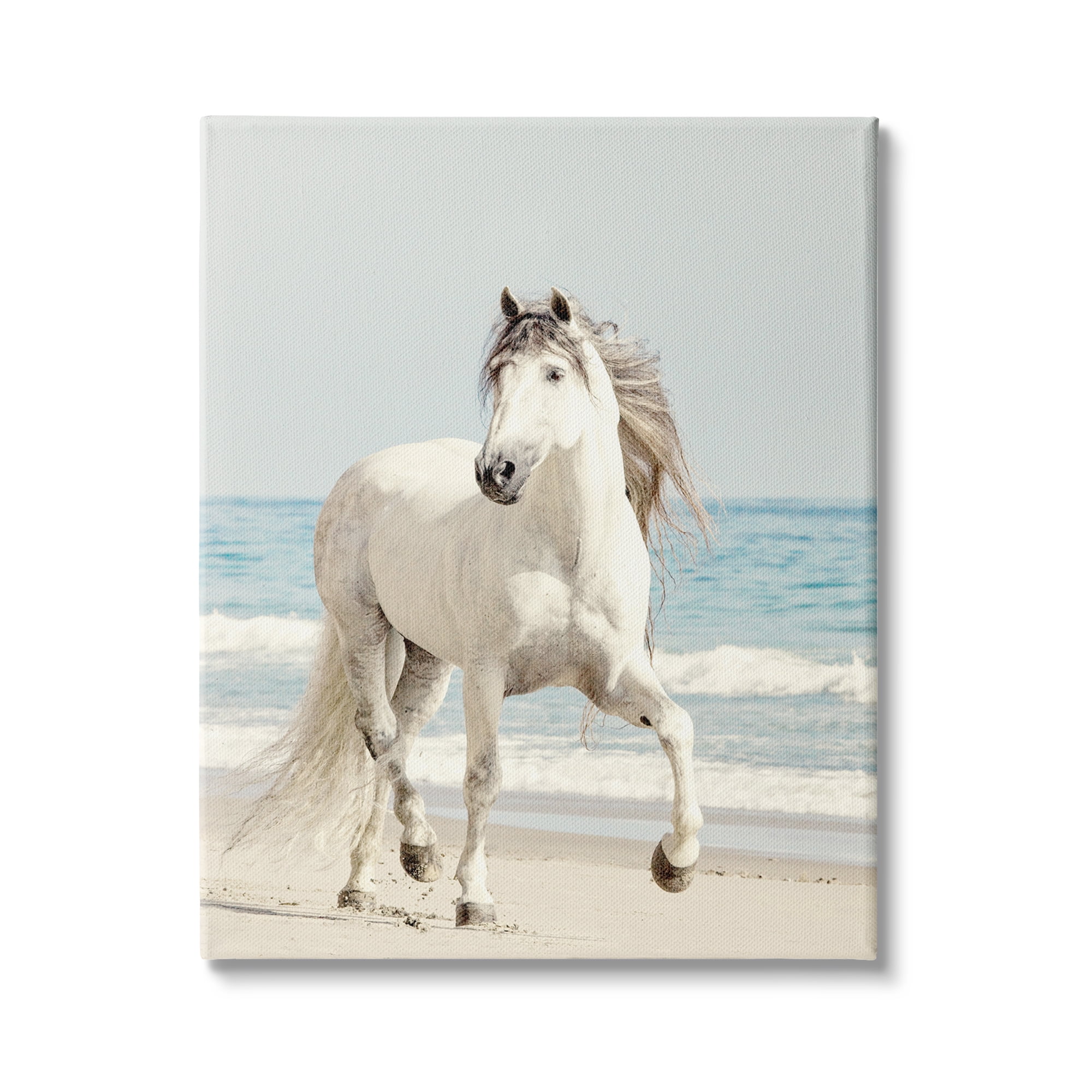 Stupell Industries Galloping White Stallion Wild Horse Sun Bleached Coast, 16 x 20, Design by Jan Walters