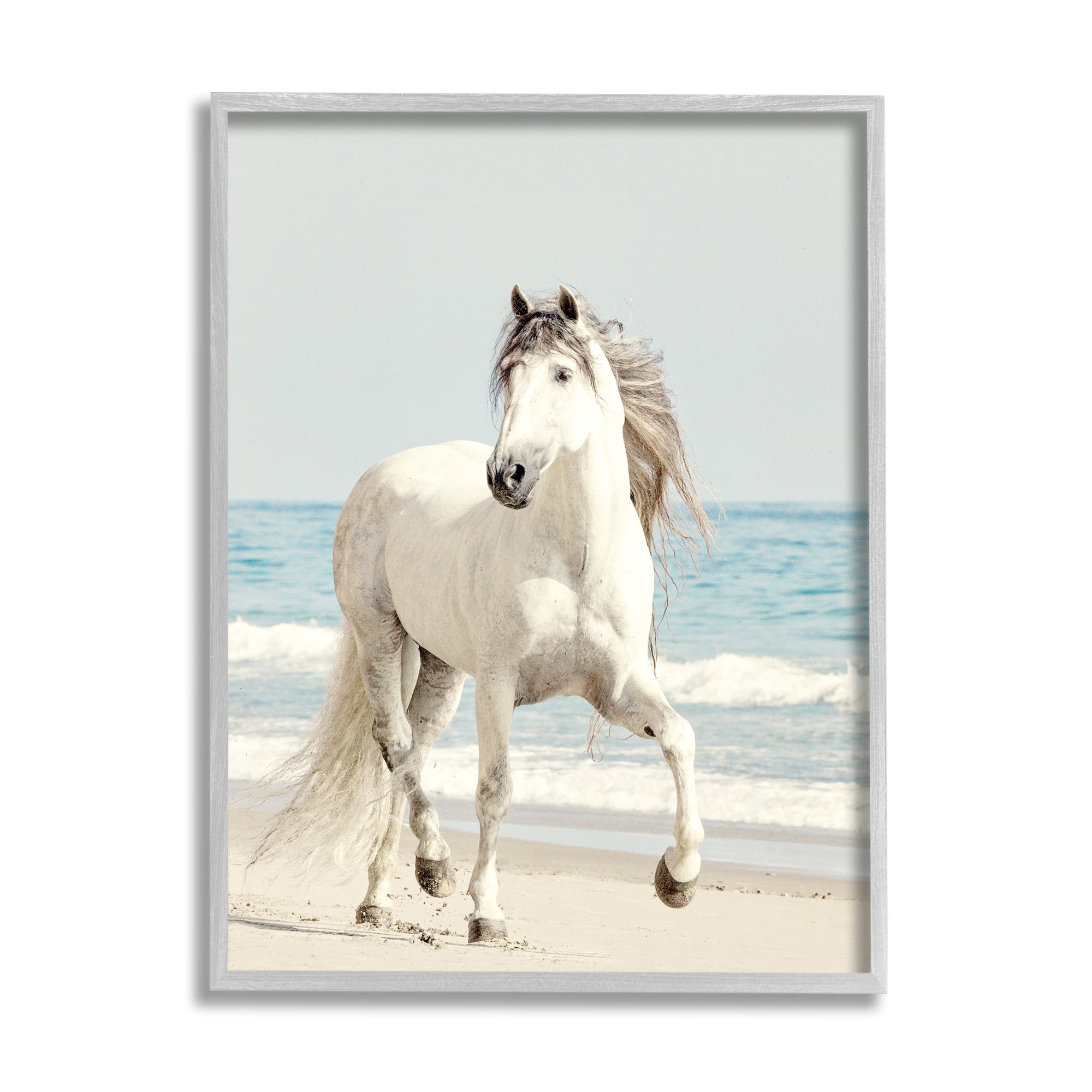 Stupell Industries Galloping White Stallion Wild Horse Sun Bleached Coast, 16 x 20, Design by Jan Walters