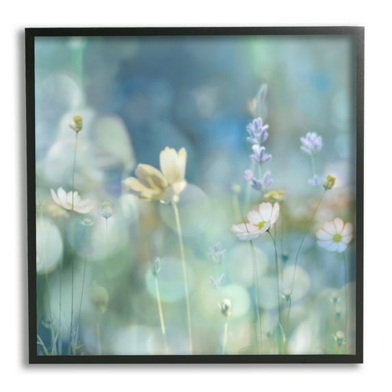 Stupell Industries Garden Floral Photography Botanical & Floral Photography Black Framed Art Print Wall Art, 12 x 12
