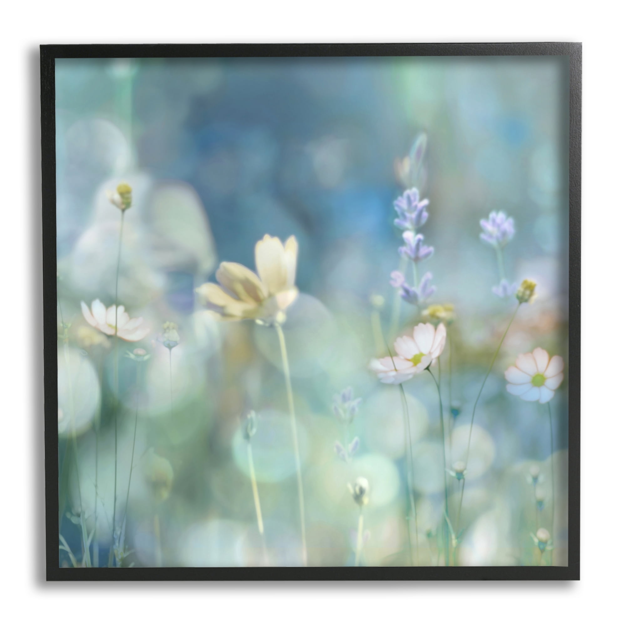 Stupell Industries Garden Floral Photography Botanical & Floral Photography Black Framed Art Print Wall Art, 24 x 24