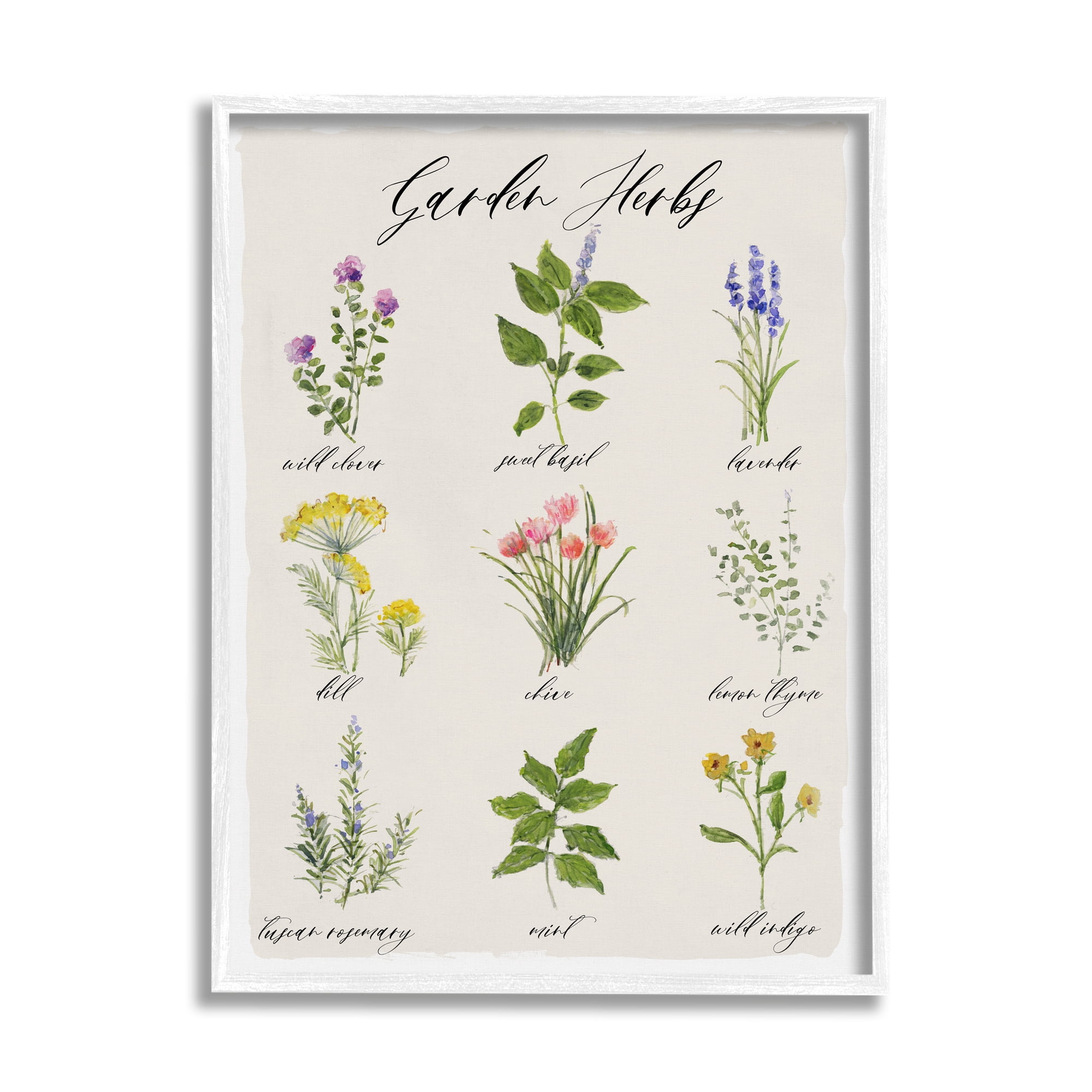 Stupell Industries Garden Herb Illustrated Chart Natural Kitchen Seasoning, 11 x 14,Design by Sally Swatland