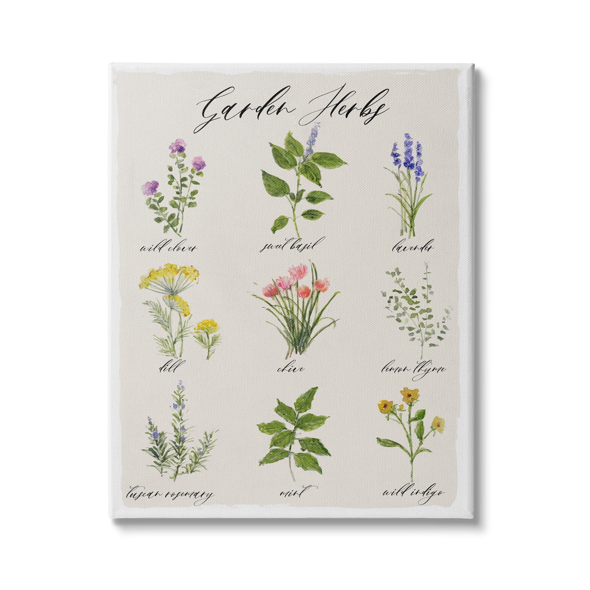 Stupell Industries Garden Herb Illustrated Chart Natural Kitchen Seasoning, 16 x 20,Design by Sally Swatland