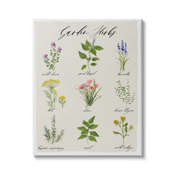 Stupell Industries Garden Herb Illustrated Chart Natural Kitchen Seasoning, 30 x 40,Design by Sally Swatland