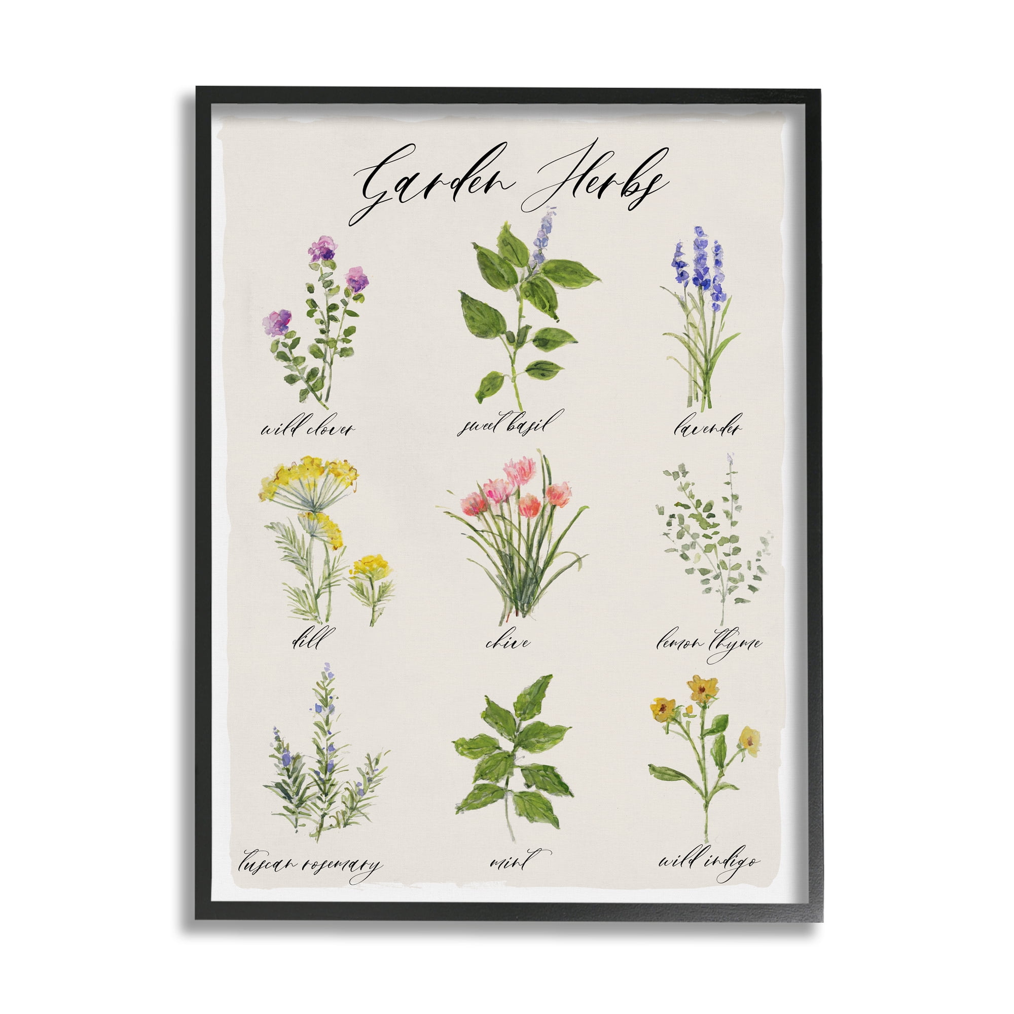Stupell Industries Garden Herb Illustrated Chart Natural Kitchen Seasoning Graphic Art Black Framed Art Print Wall Art, 24x30, by Sally Swatland