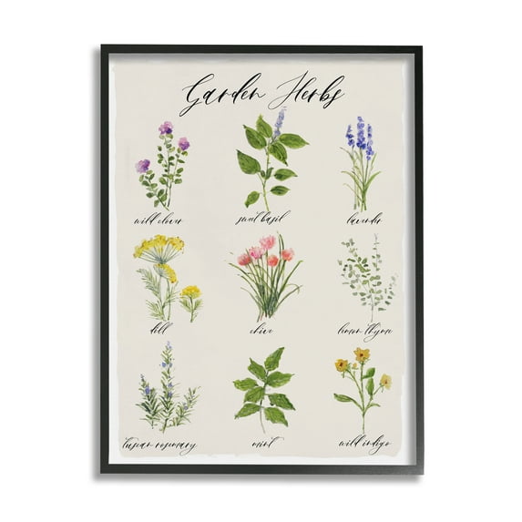 Stupell Industries Garden Herb Illustrated Chart Natural Kitchen Seasoning Graphic Art Black Framed Art Print Wall Art, 24x30, by Sally Swatland