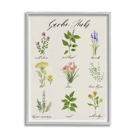 Stupell Industries Garden Herb Illustrated Chart Natural Kitchen Seasoning Graphic Art Gray Framed Art Print Wall Art, 11x14, by Sally Swatland