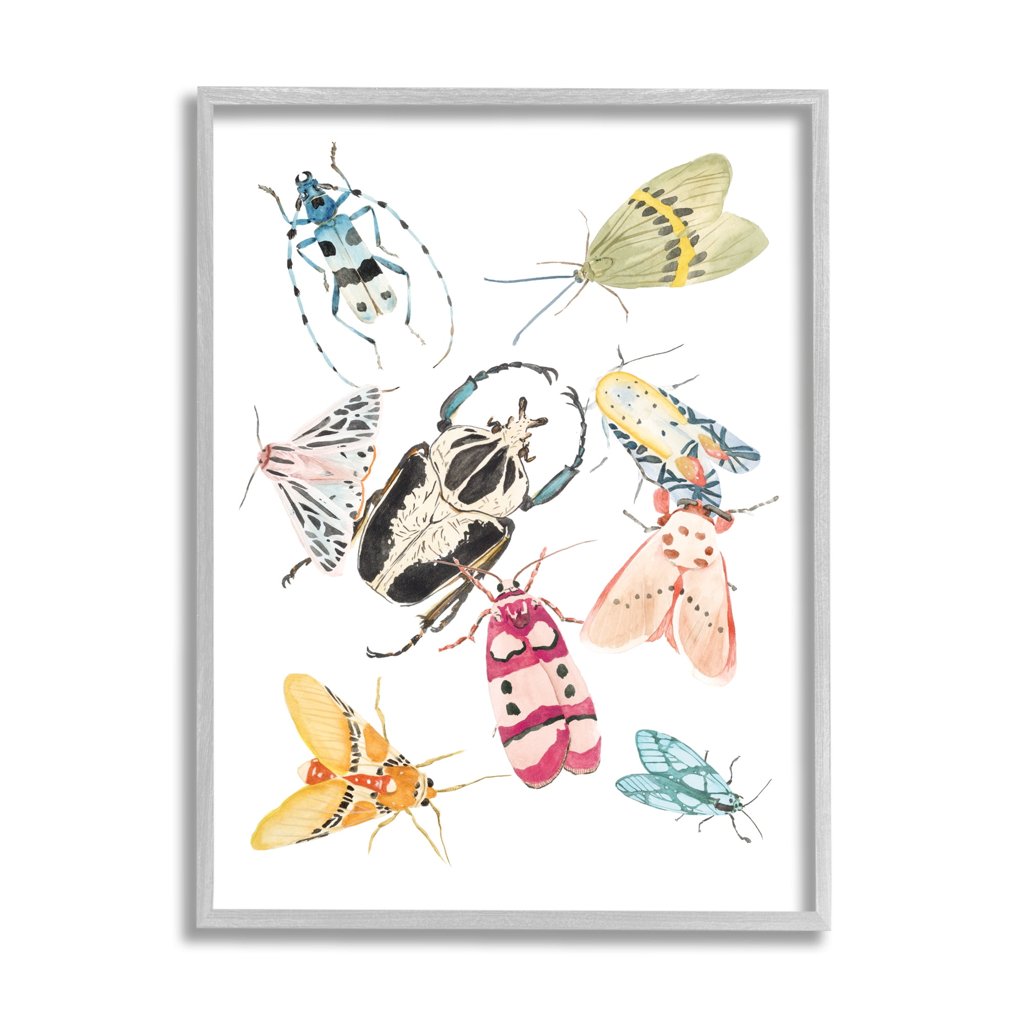 Stupell Industries Garden Insect Arrangement Charming Winged Creatures, 11 x 14, Designed by Melissa Wang