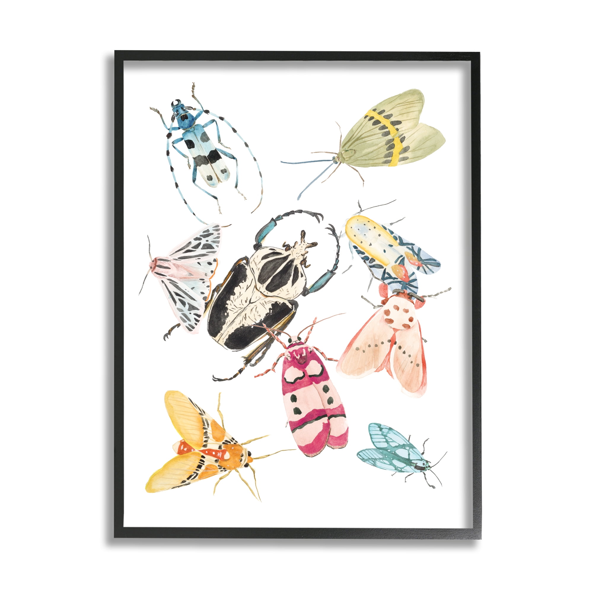 Stupell Industries Garden Insect Arrangement Charming Winged Creatures, 16 x 20, Designed by Melissa Wang