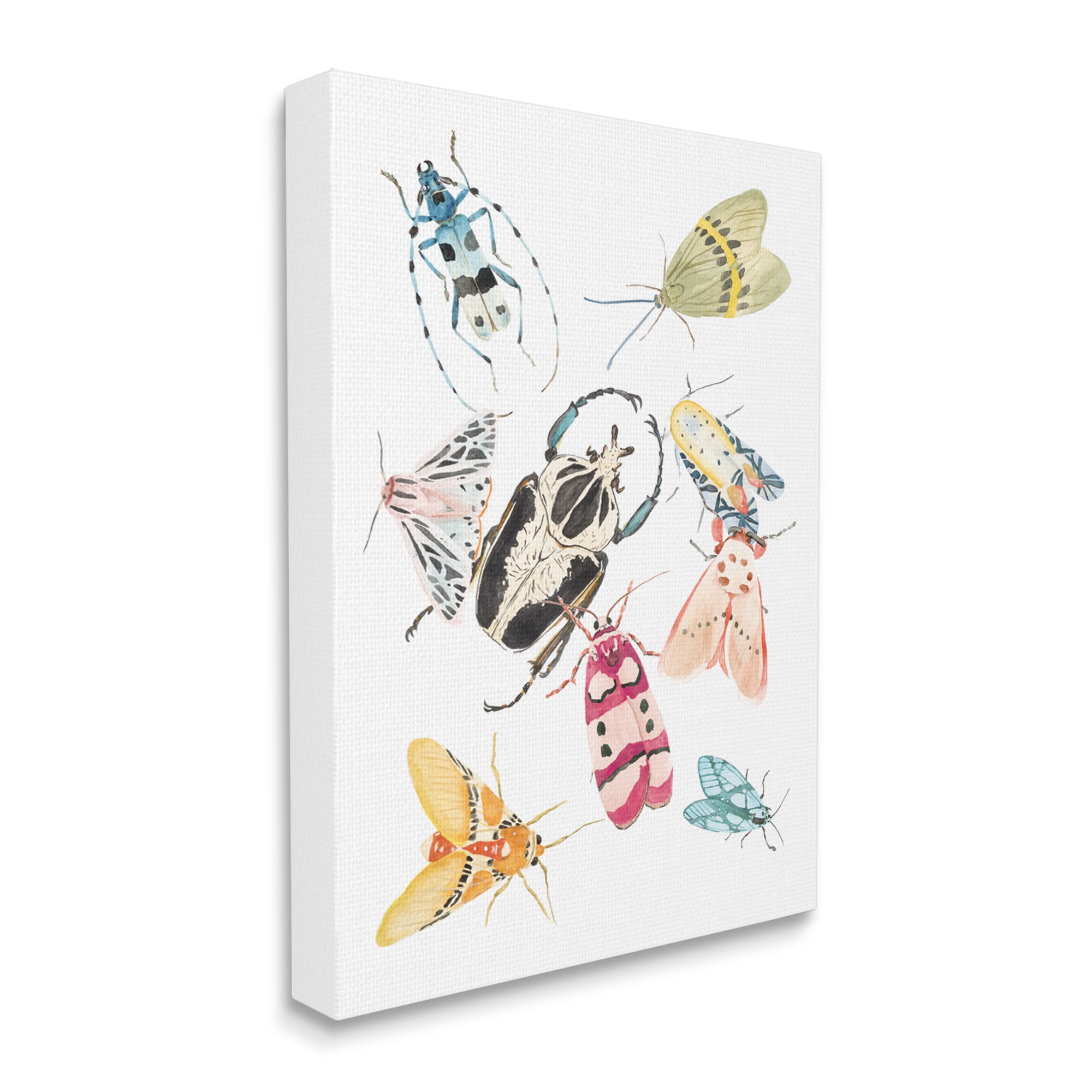 Stupell Industries Garden Insect Arrangement Charming Winged Creatures, 24 x 30, Designed by Melissa Wang