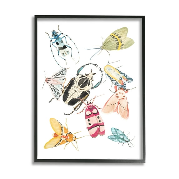 Stupell Industries Garden Insect Arrangement Charming Winged Creatures, 24 x 30, Designed by Melissa Wang