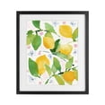 thumbnail image 1 of Stupell Industries Farmhouse Garden Lemons with Pastel Florals Black Framed Print Under Glass, 17 x 21, by Lanie Loreth, 1 of 8
