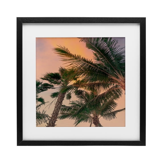 Stupell Industries Coastal Gathering Palms at Sunset Black Framed Print Under Glass, 16 x 16, by Susan Jill