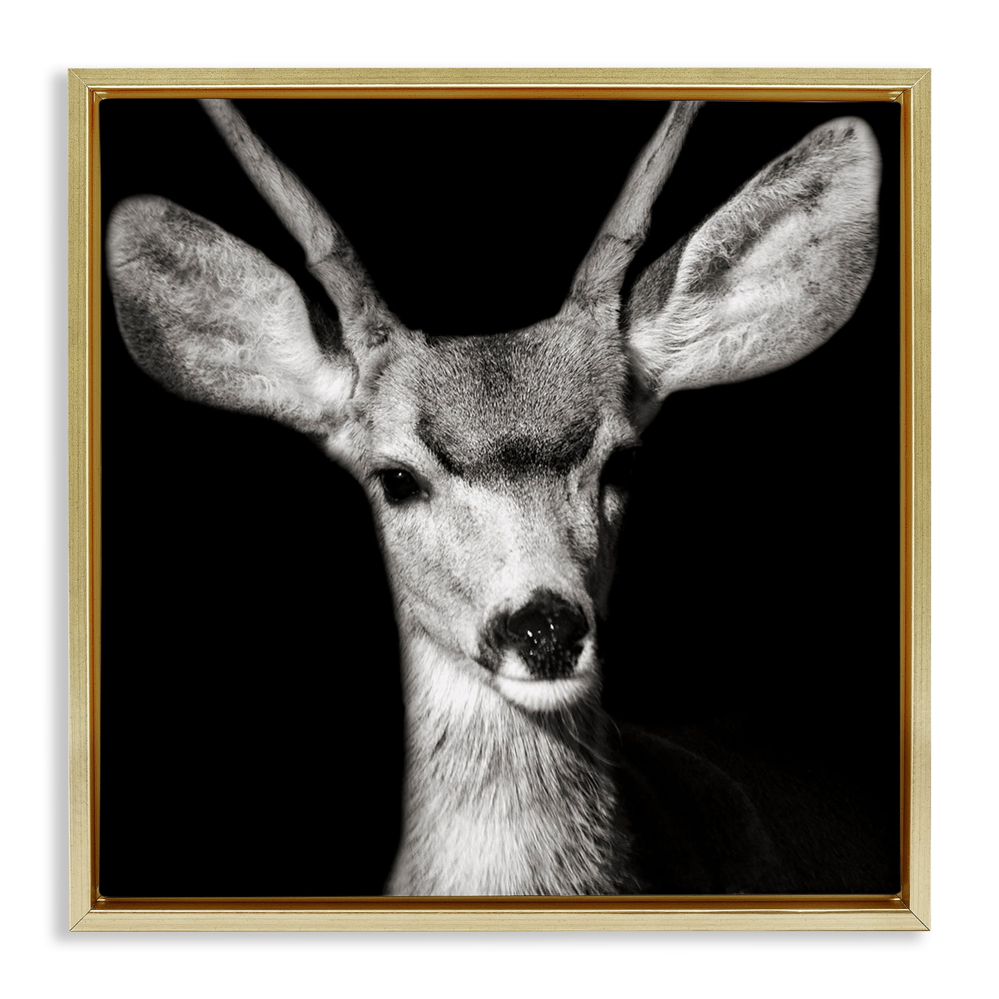 Stupell Industries Gazing Deer Portrait Animals & Insects Photography Gold Floater Framed Canvas Art Print Wall Art, 25 x 25