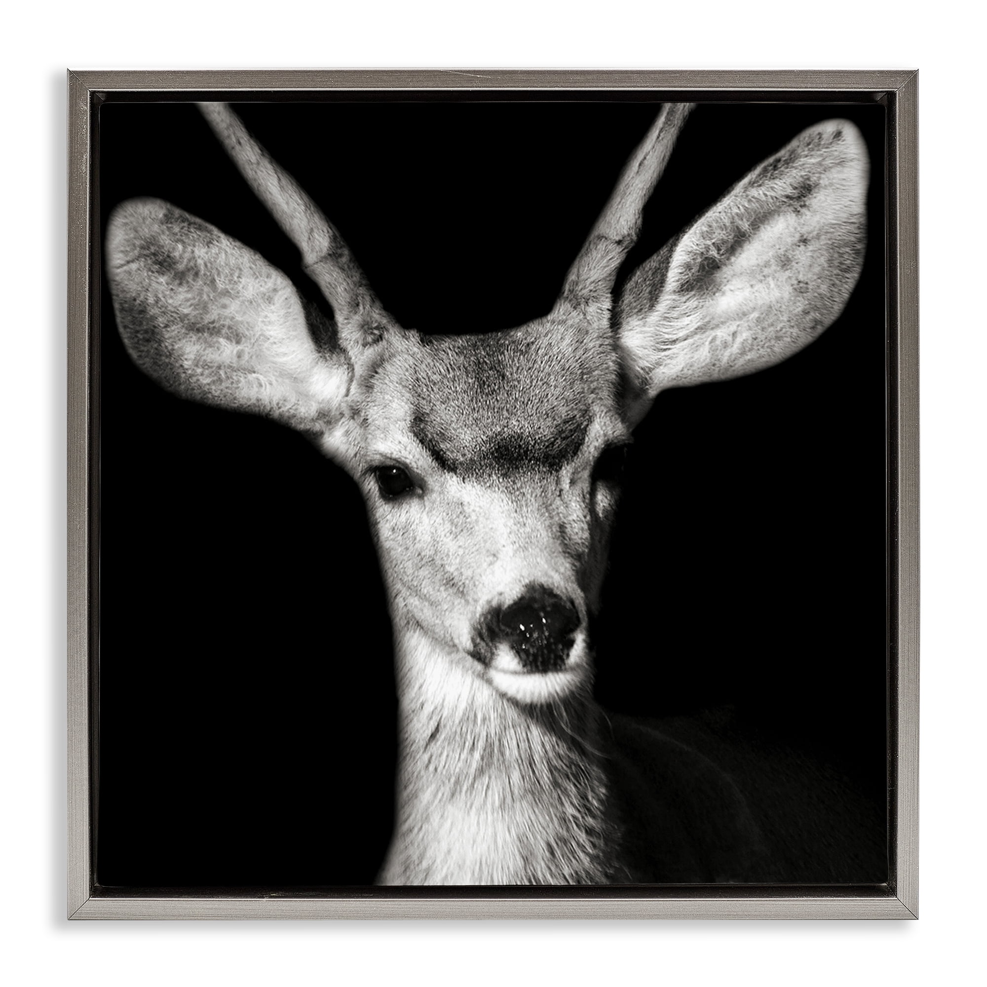 Stupell Industries Gazing Deer Portrait Animals & Insects Photography Gray Floater Framed Canvas Art Print Wall Art, 25 x 25