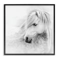 thumbnail image 1 of Stupell Industries Gazing White Toned Horse Animals Photography Black Framed Art Print Wall Art, 24 x 24, 1 of 8