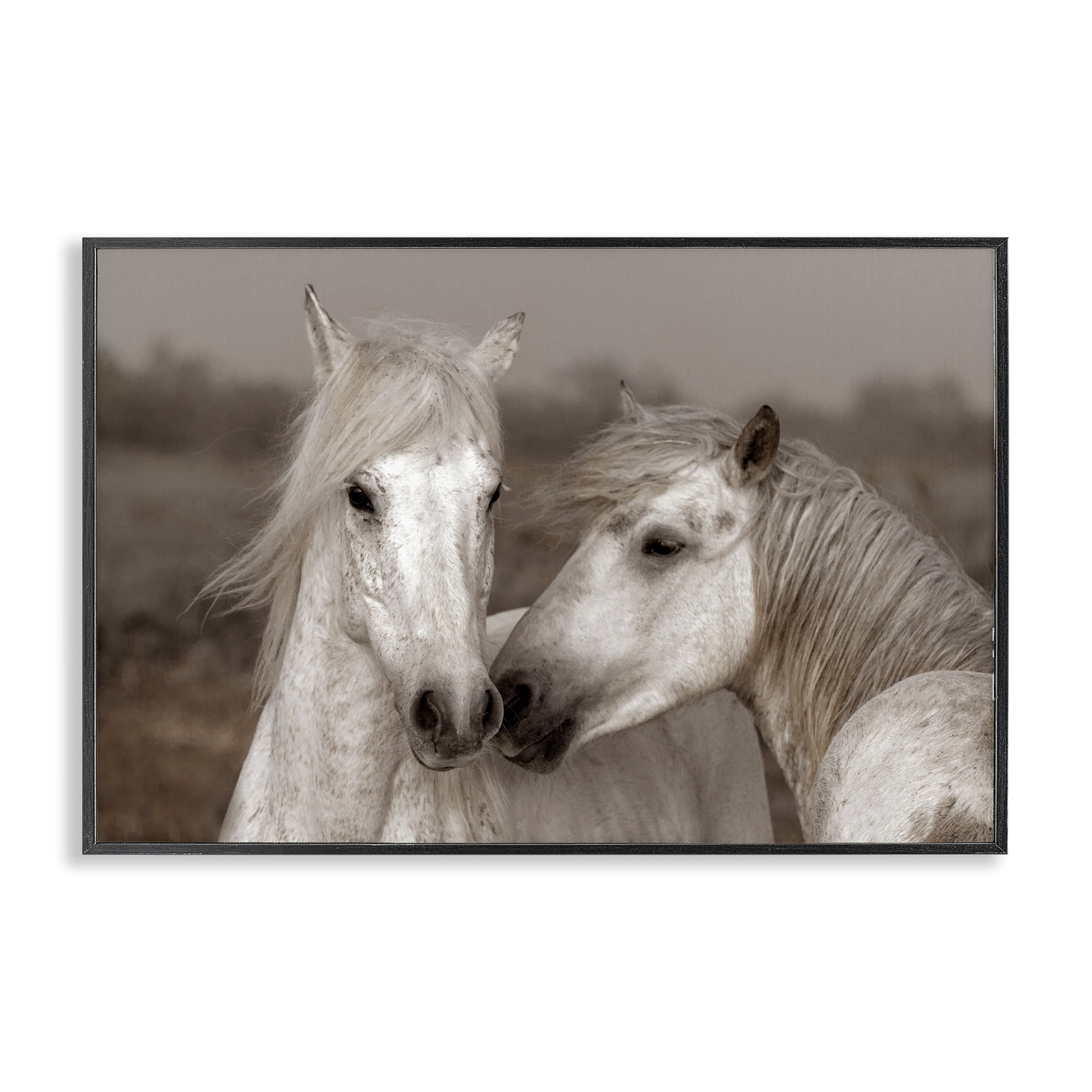 Stupell Industries Gentle Companionship Horses Black Framed Giclee Art, design by Danita Delimont