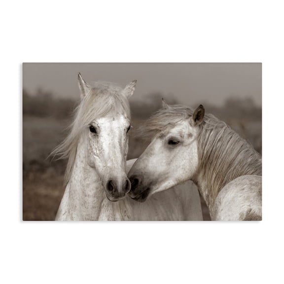 Stupell Industries Gentle Companionship Horses Canvas Wall Art, design by Danita Delimont