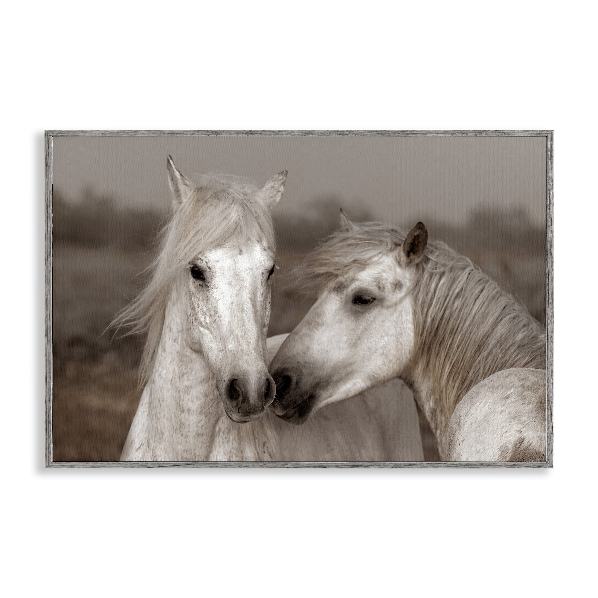 Stupell Industries Gentle Companionship Horses Gray Framed Giclee Art, design by Danita Delimont