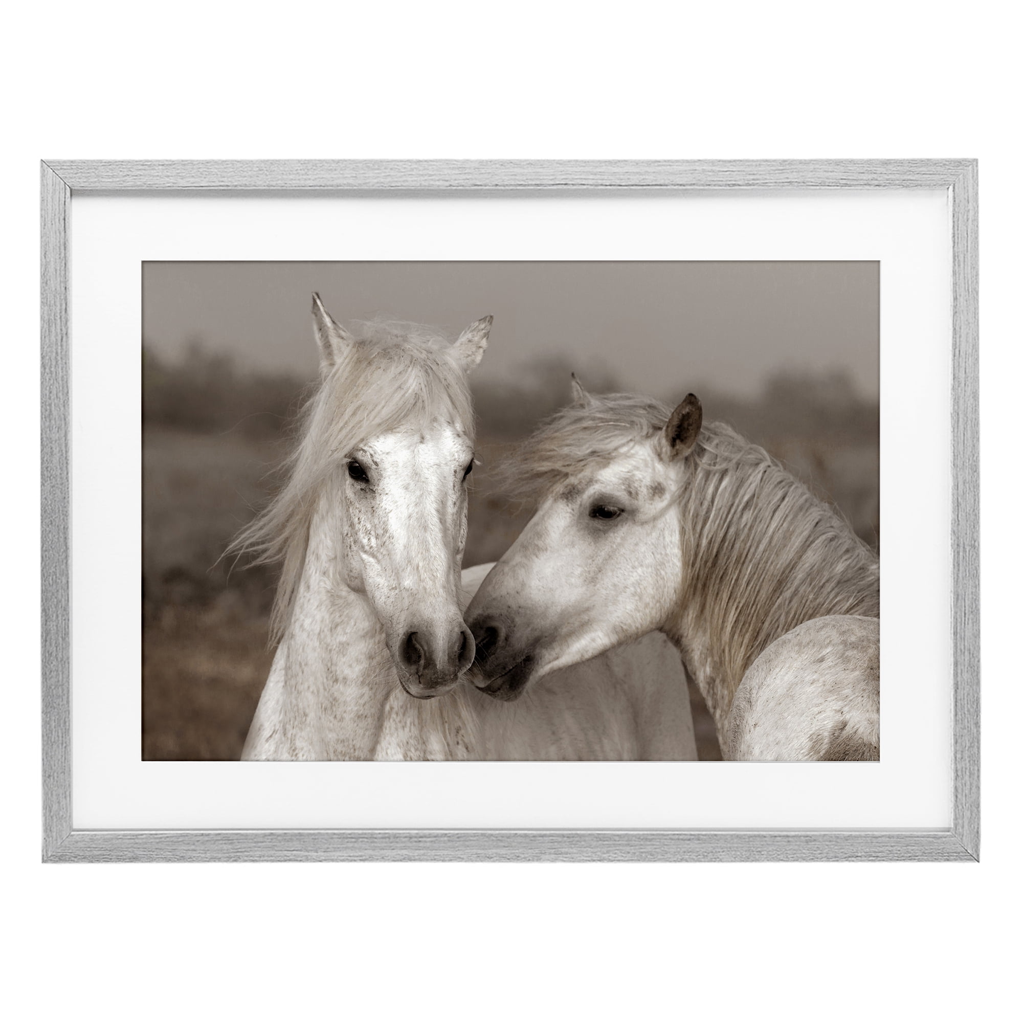 Stupell Industries Gentle Companionship Horses Gray Framed Print Under Glass, design by Danita Delimont