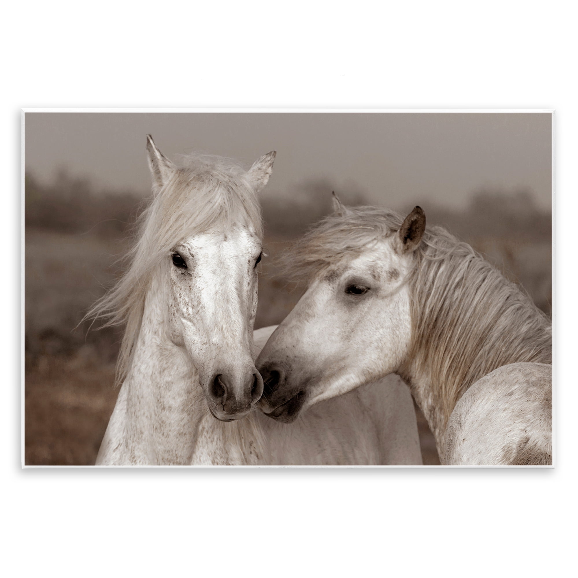 Stupell Industries Gentle Companionship Horses Wall Plaque Art, design by Danita Delimont