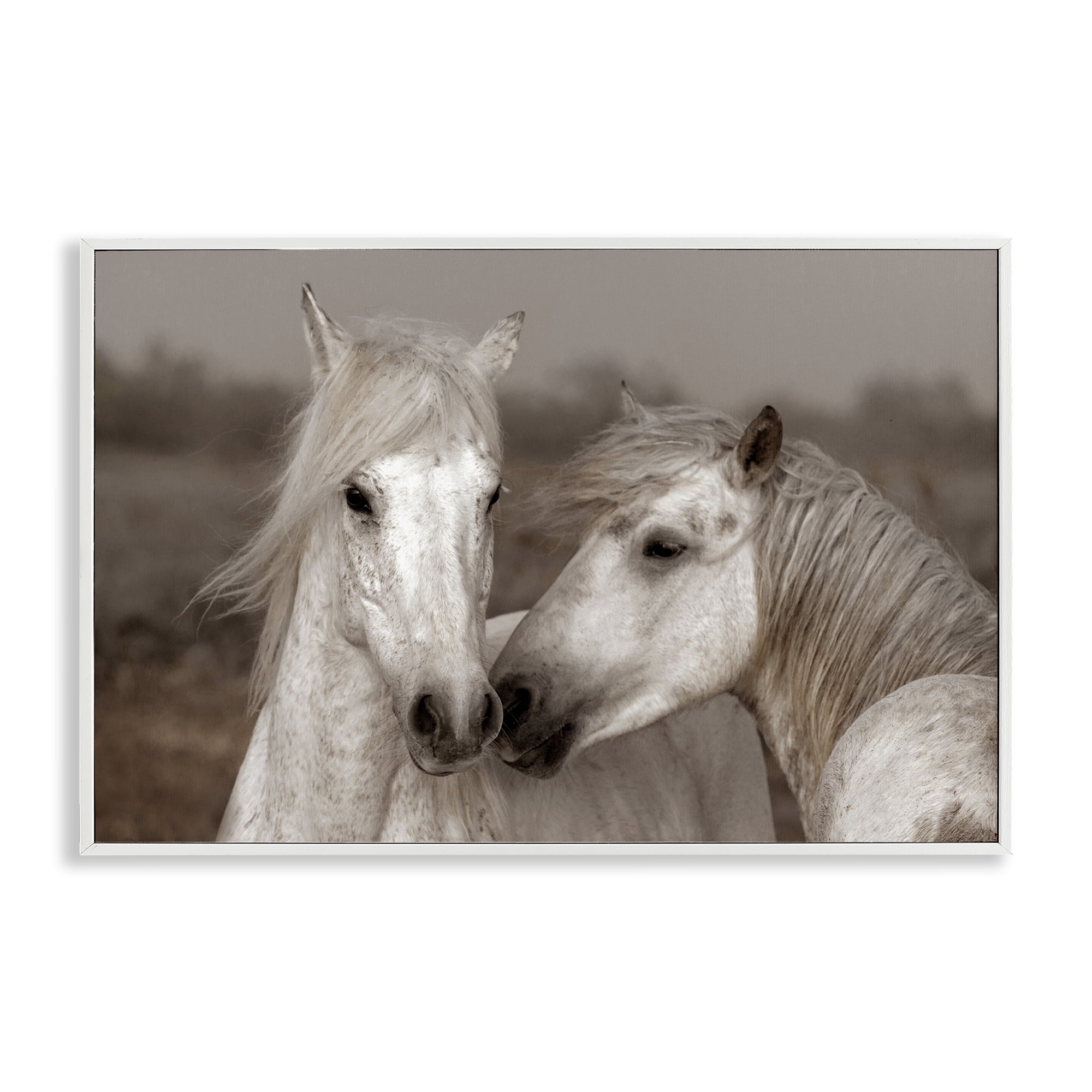 Stupell Industries Gentle Companionship Horses White Framed Giclee Art, design by Danita Delimont