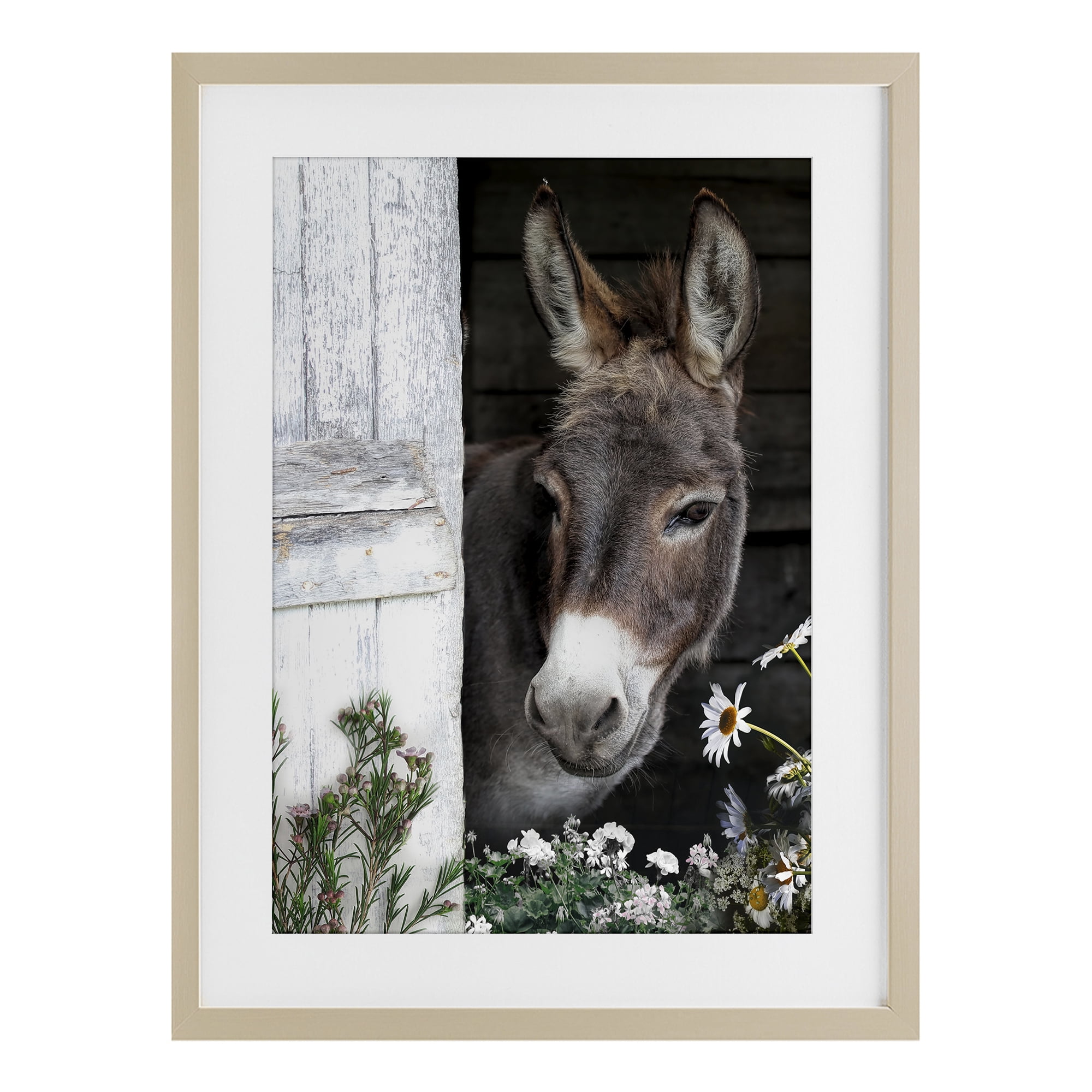 Stupell Industries Gentle Donkey Peering from Barn Birch Framed Print Under Glass, design by CAD Designs
