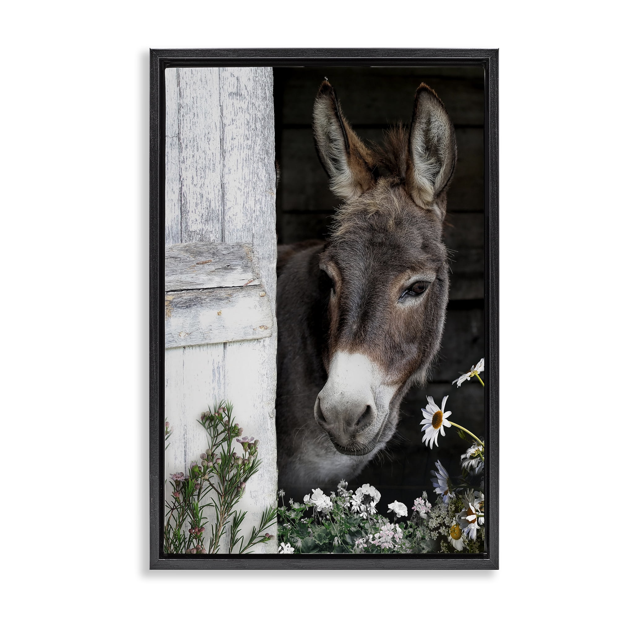 Stupell Industries Gentle Donkey Peering from Barn Black Framed Floater Canvas Wall Art, design by CAD Designs