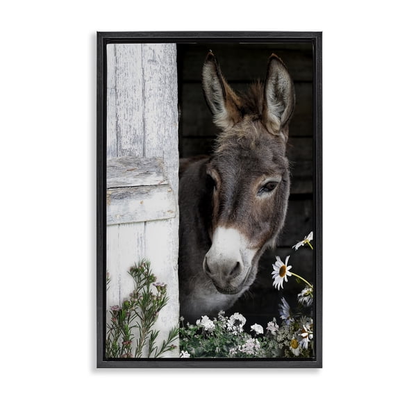 Stupell Industries Gentle Donkey Peering from Barn Black Framed Floater Canvas Wall Art, design by CAD Designs