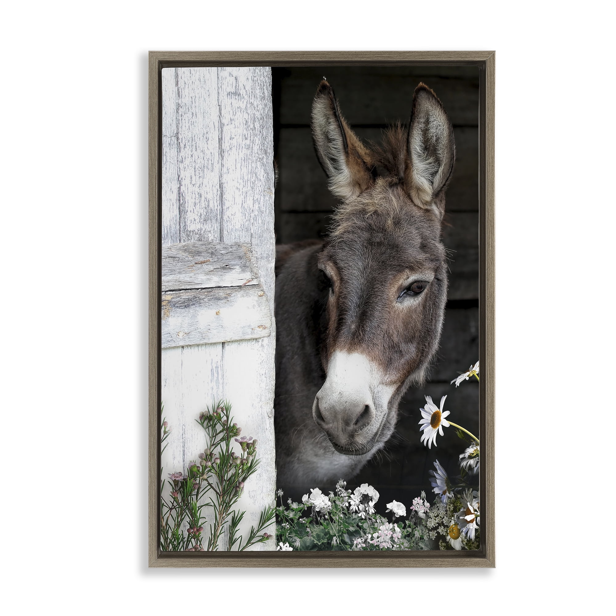 Stupell Industries Gentle Donkey Peering from Barn Brown Framed Floater Canvas Wall Art, design by CAD Designs