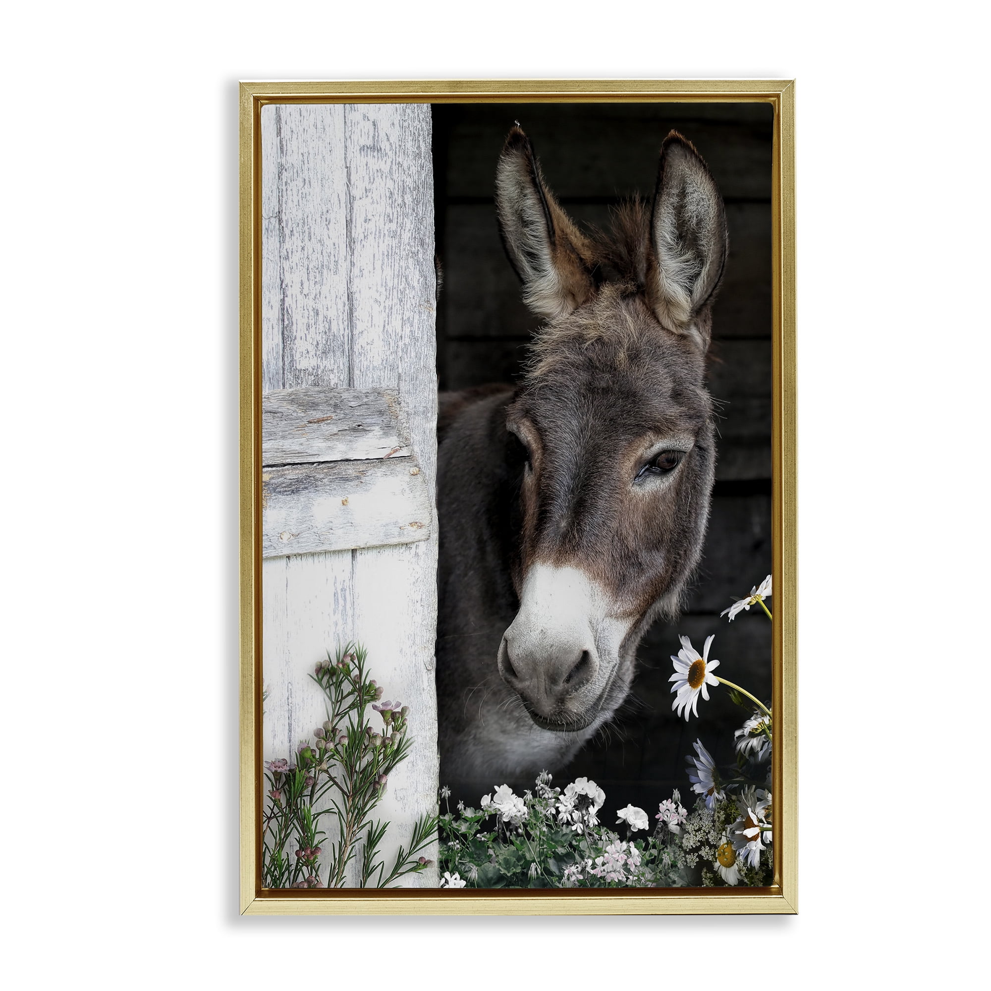 Stupell Industries Gentle Donkey Peering from Barn Gold Framed Floater Canvas Wall Art, design by CAD Designs