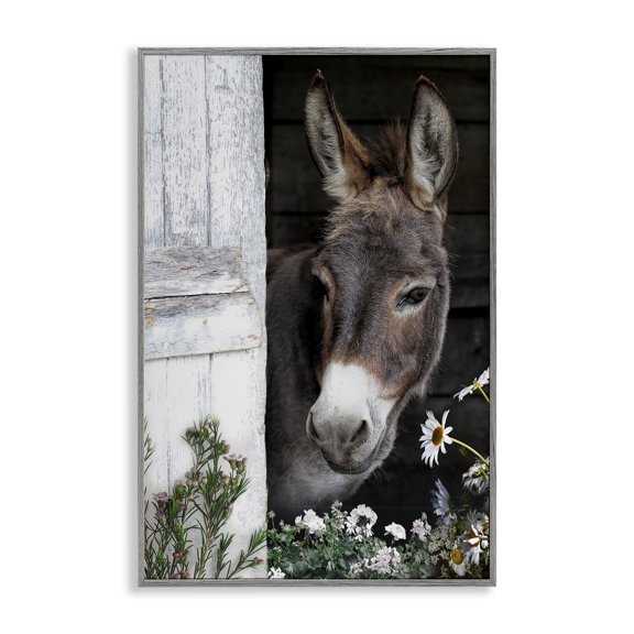 Stupell Industries Gentle Donkey Peering from Barn Gray Framed Giclee Art, design by CAD Designs